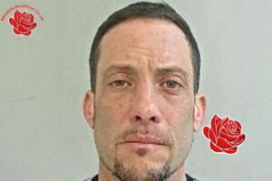 Michael Harvey – profile image