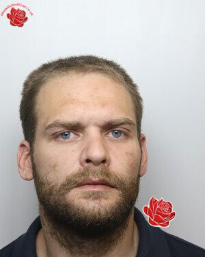 Daniel Norton – profile image