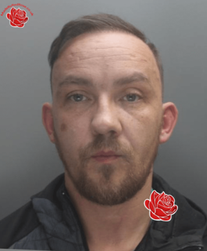 Stephen Griffiths – profile image