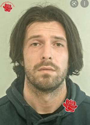 Stefan Bull – profile image