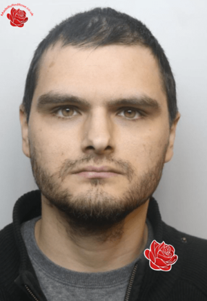 Joshua Wetherell – profile image