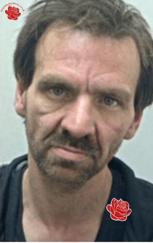 Paul Mountain – profile image
