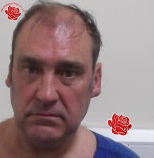David Ferguson – profile image
