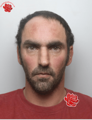 Shaun Harris – profile image