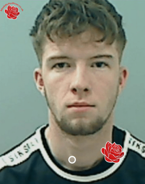 Lee Hodgson – profile image