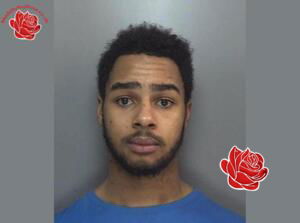 Zaine Hylton – profile image