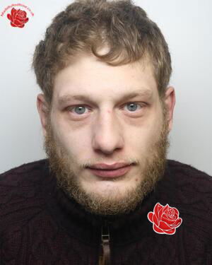 Profile image of James Hirst