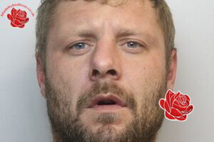 Profile image of Joshua Whittaker