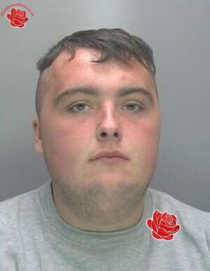 Profile image of Paul Jinks