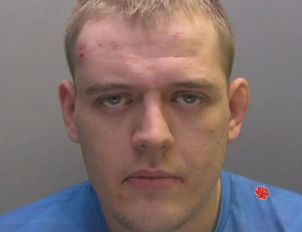 Profile image of Liam Hall