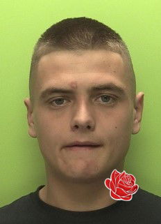 Profile image of Conner Dilkes