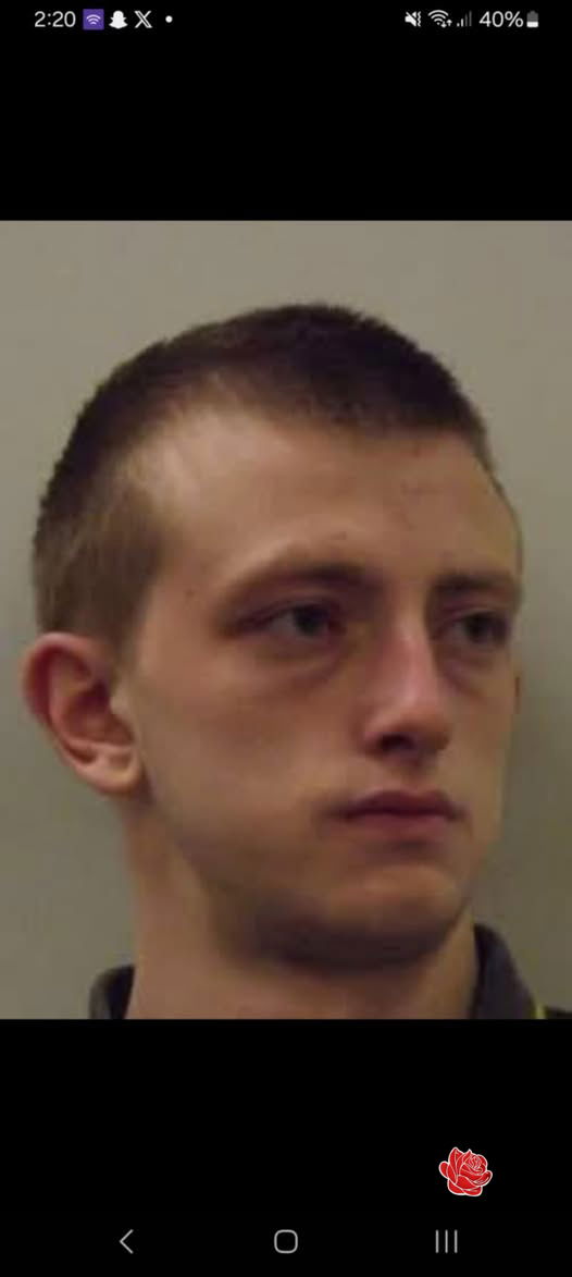 Profile image of Alexander Mitchell