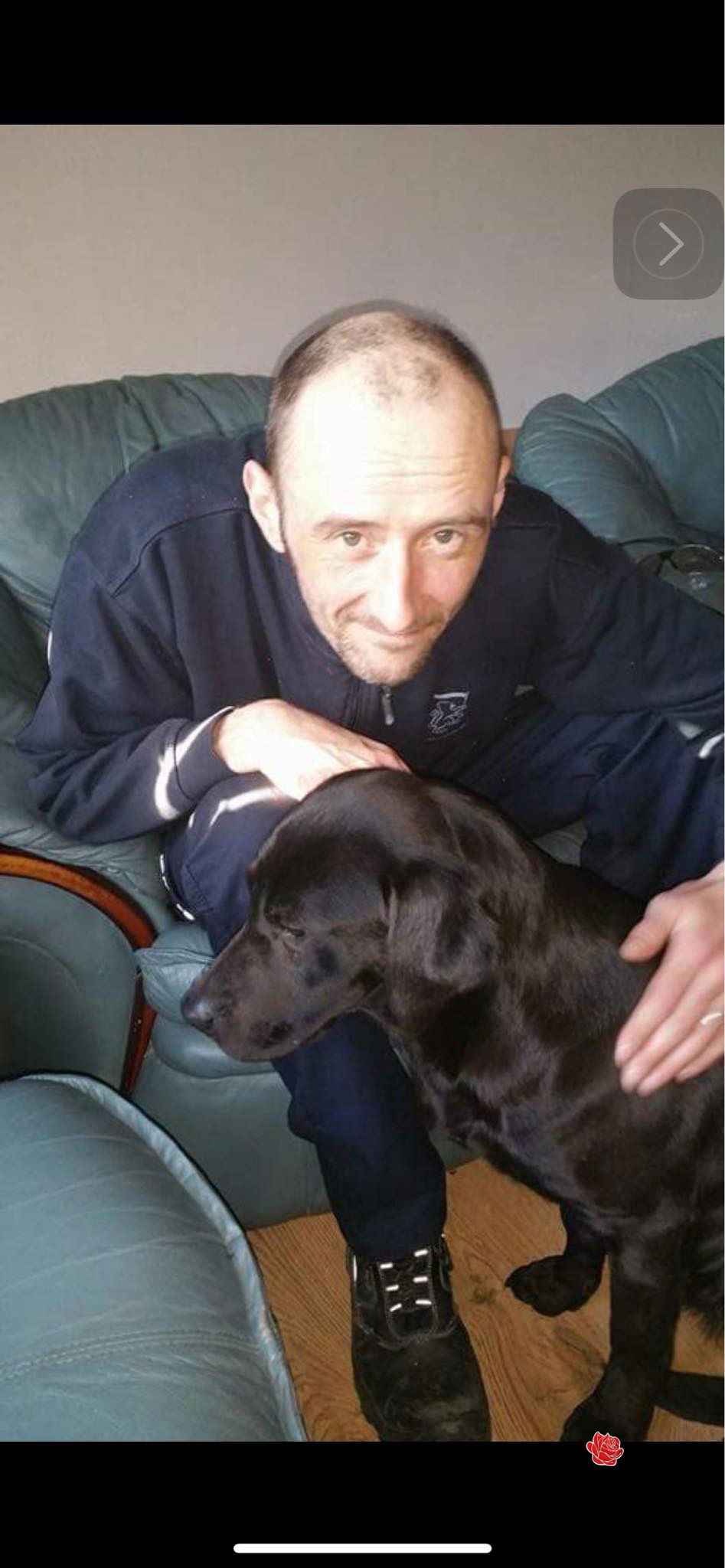 Profile image of Stephen Donaldson