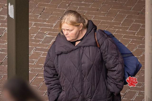 Profile image of Toni Wilkinson