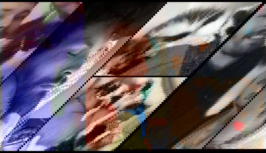 Profile image of Daniel Jones
