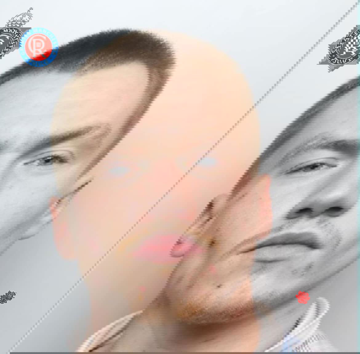 Profile image of David Stewart