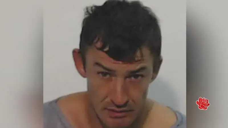 Profile image of Mark Campbell
