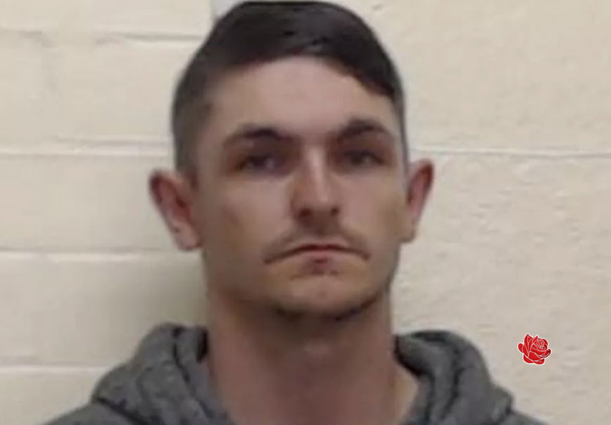 Profile image of Allen Lothian