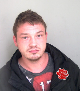 Profile image of Luke Davis