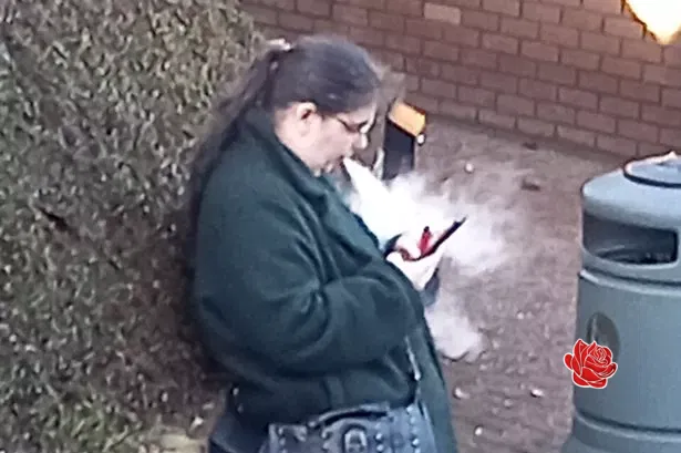 Profile image of Kelly Debruijn