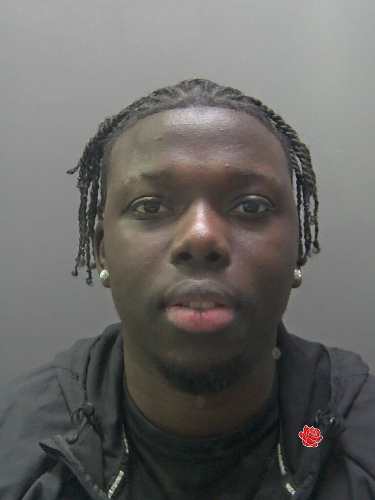 Profile image of Amadu Tavares