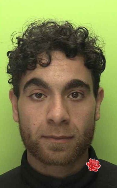 Profile image of Mohammed Darweesh