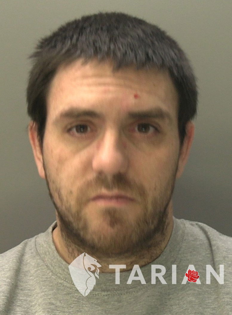Profile image of Liam Lewis