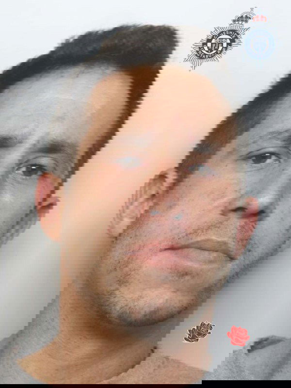 Profile image of Gergel Ludanyi