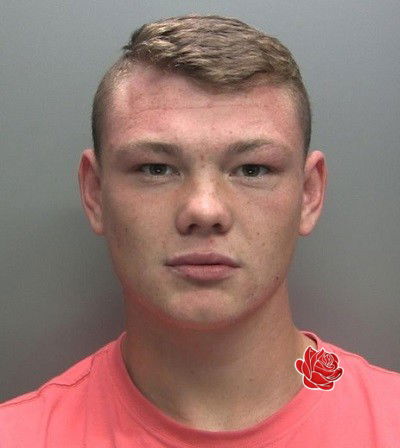 Profile image of Craig Cherry