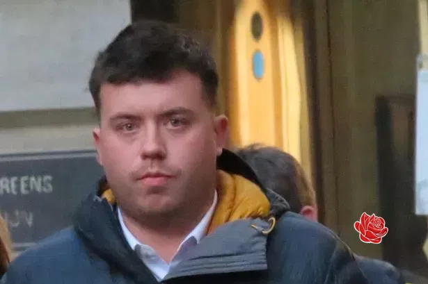 Profile image of Steven Dyer