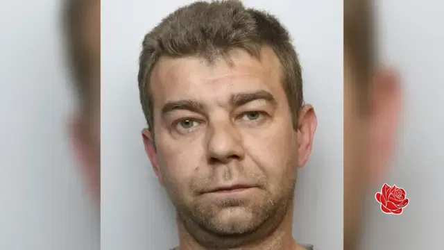 Profile image of Marcin Zdun
