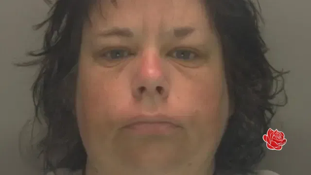 Profile image of Alison Skingsly