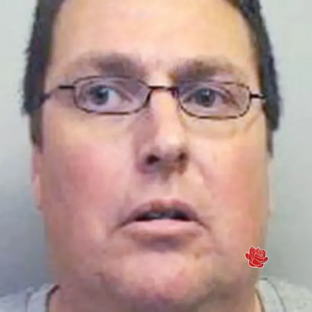 Profile image of Stephen Hotson