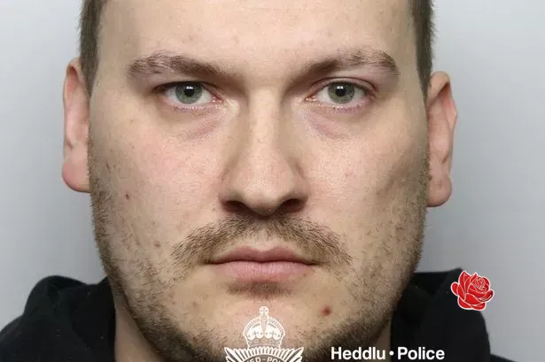 Profile image of Lloyd Davies