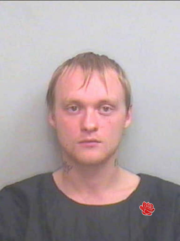 Profile image of Steven Partridge
