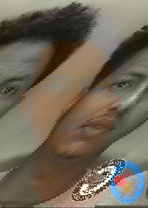 Profile image of Filmon Andmichaen
