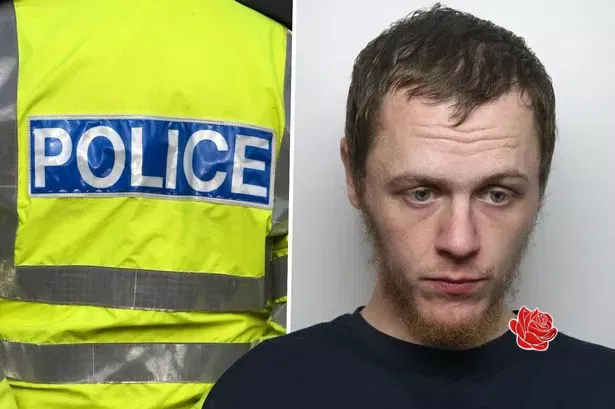 Profile image of Jordan Gregory