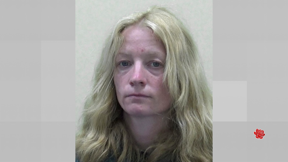 Profile image of Sue Thorpe