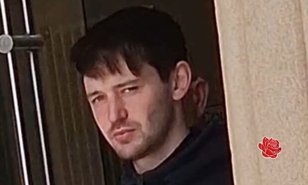 Profile image of Bruce Webster
