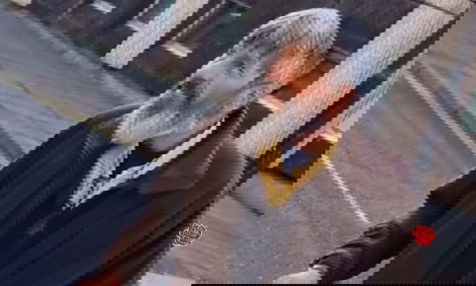 Alexander Doig additional image