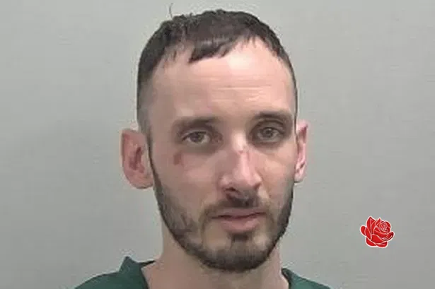 Profile image of David Bale