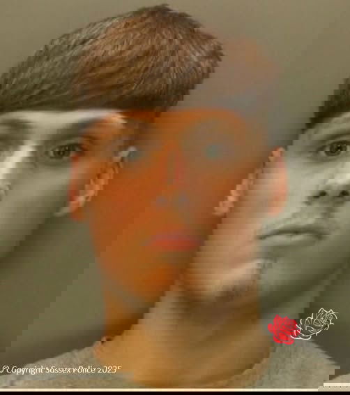 Profile image of Zaine Reid