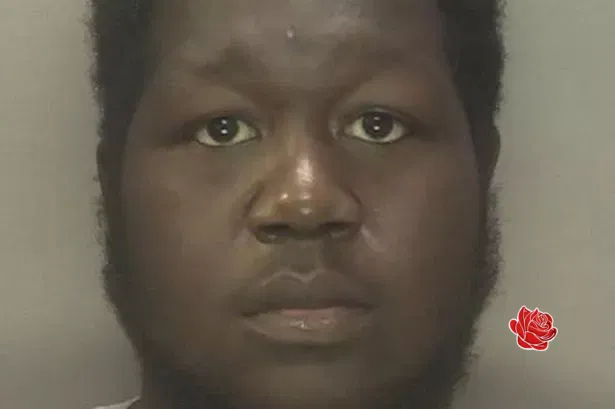 Profile image of Joemar Joseph