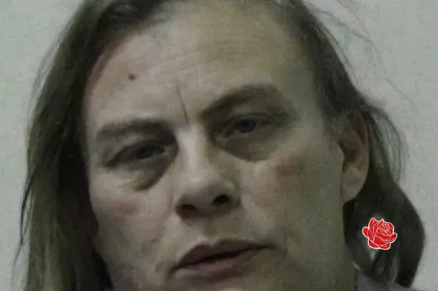 Profile image of Kimberley Black