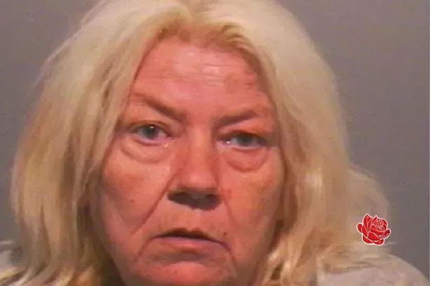 Profile image of Shauna Donnelly