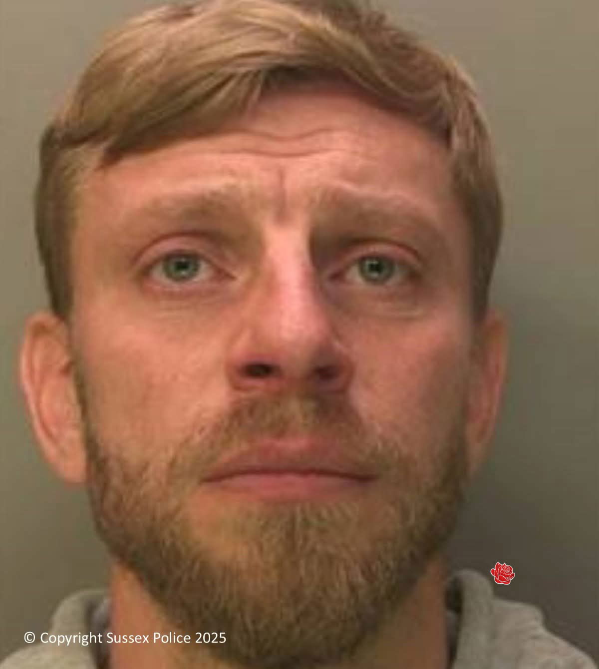 Profile image of Peter Chapman