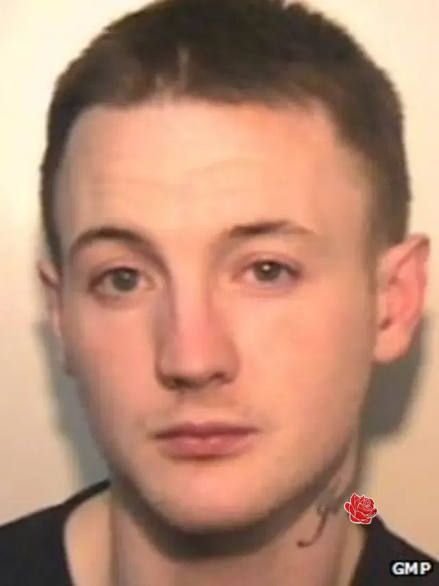 Profile image of Ryan Ingham