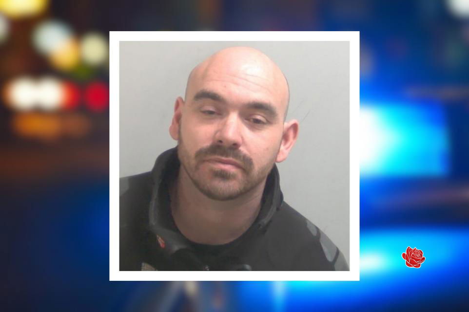 Profile image of Matthew Rivett
