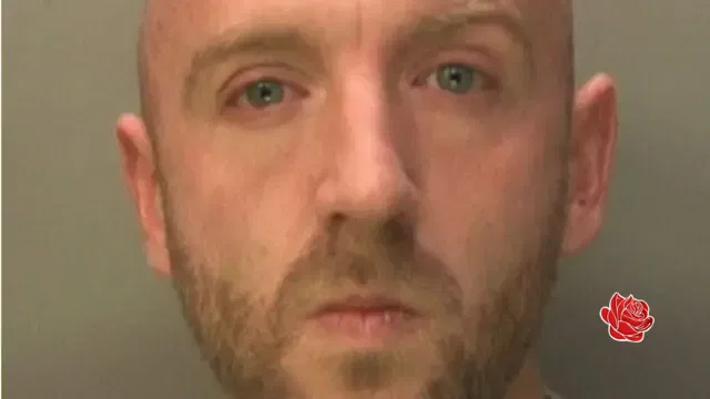 Profile image of Shane James Gibbs