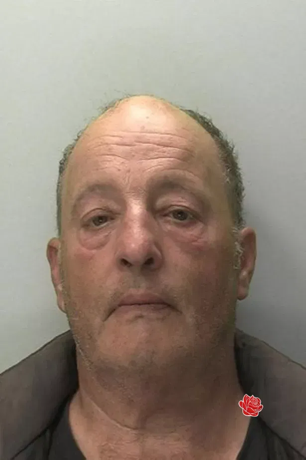 Profile image of David Fuller